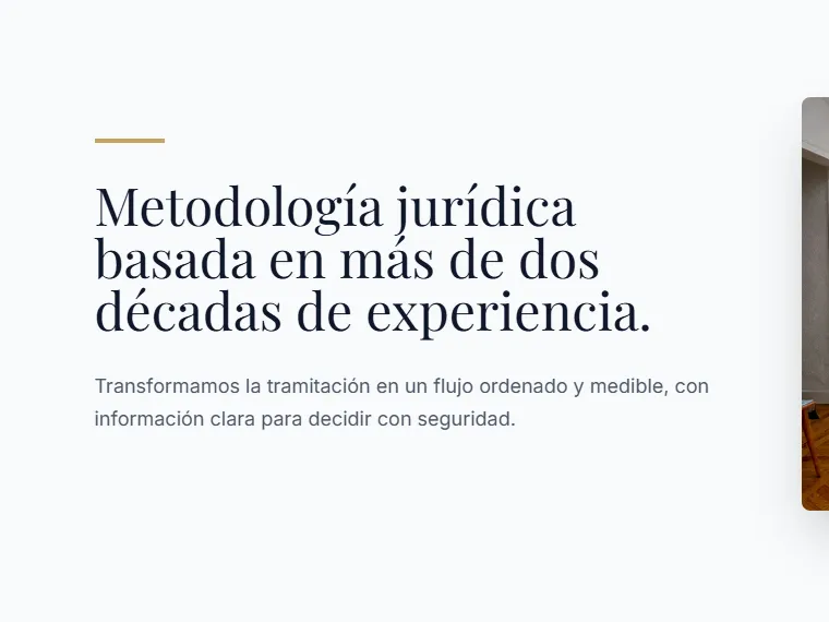 Ortega y Suárez — áreas de práctica